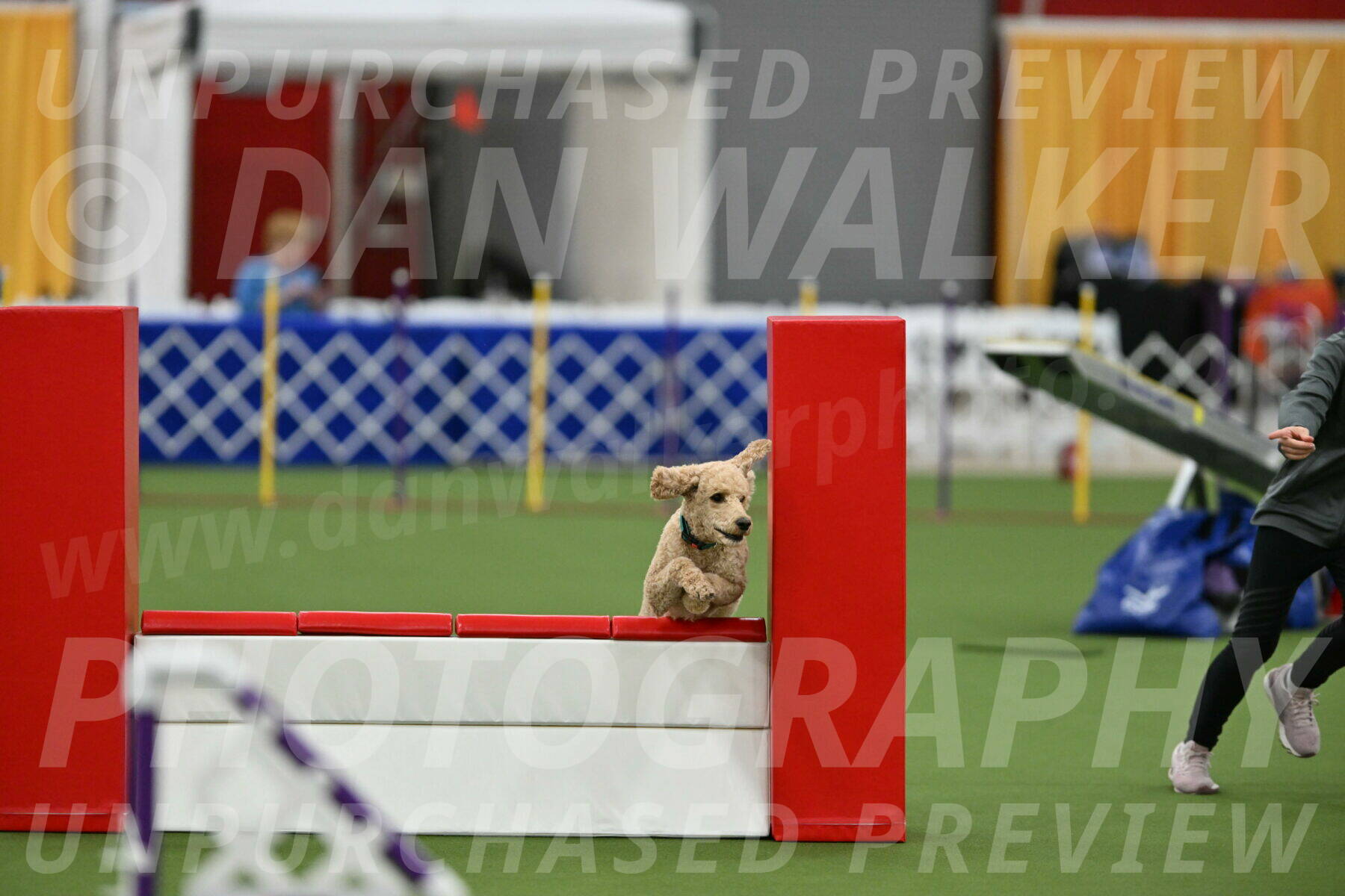 MAS-EX-STD-20-Inch_6805