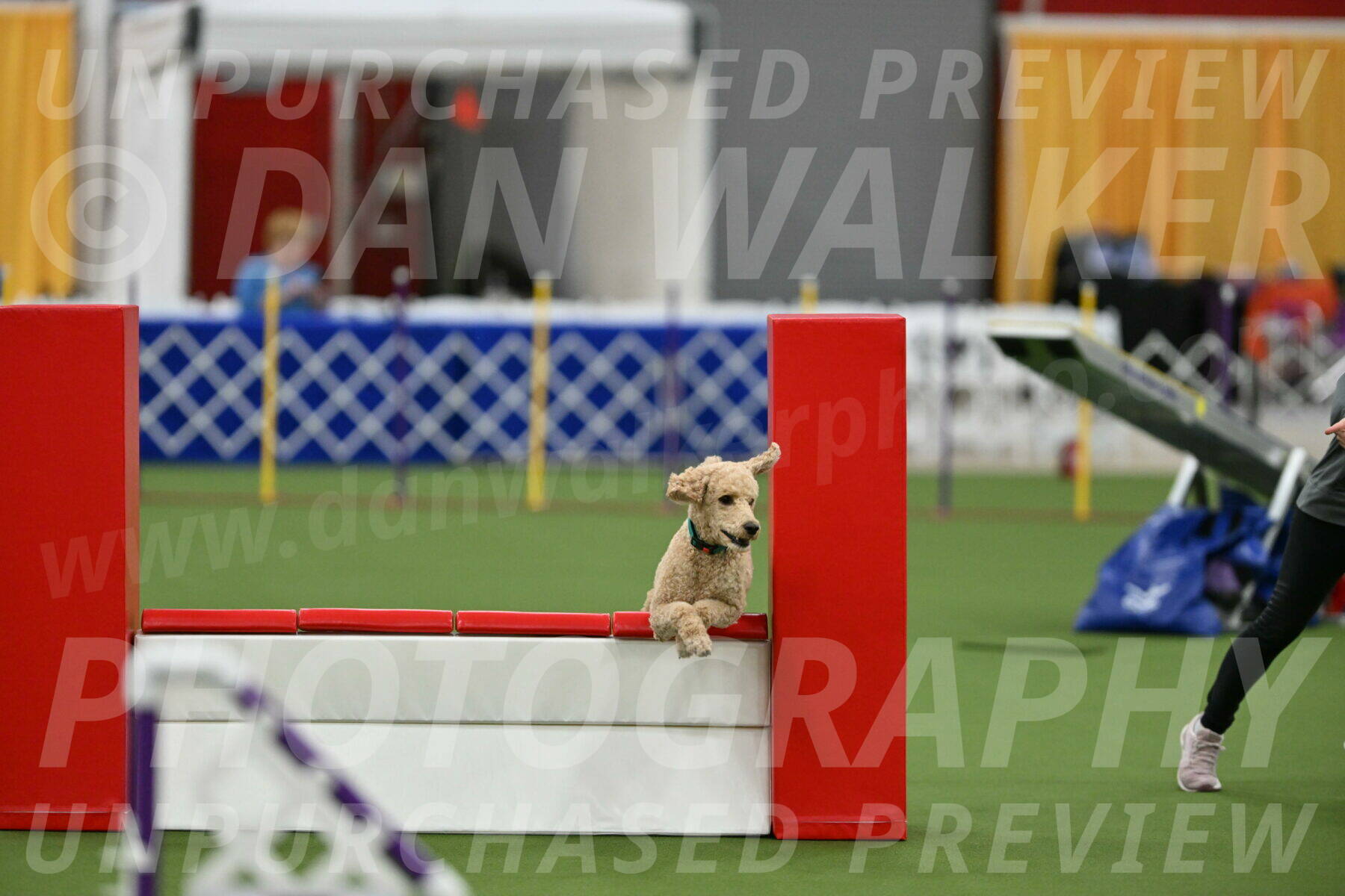 MAS-EX-STD-20-Inch_6806