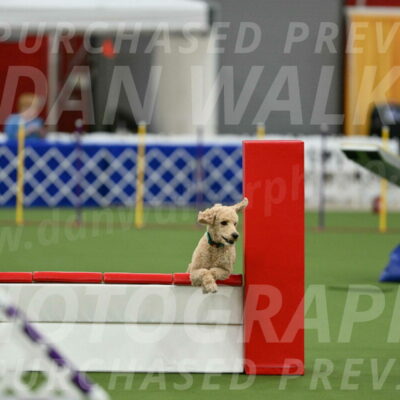 MAS-EX-STD-20-Inch_6806