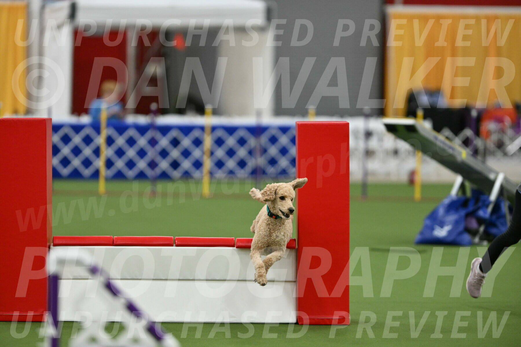 MAS-EX-STD-20-Inch_6807