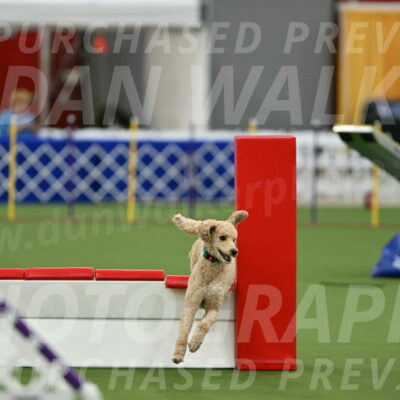 MAS-EX-STD-20-Inch_6808