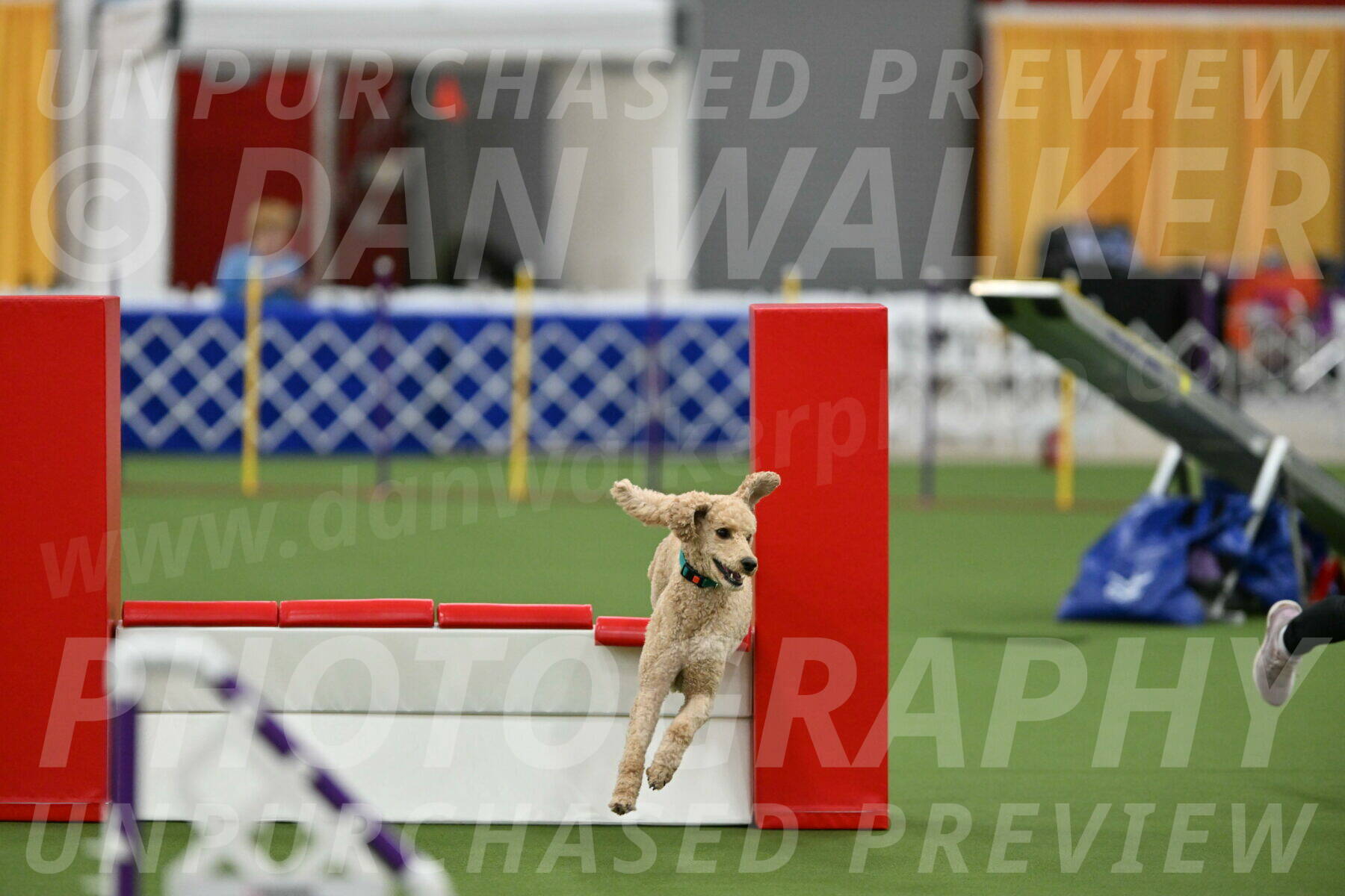 MAS-EX-STD-20-Inch_6808