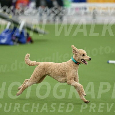 MAS-EX-STD-20-Inch_6810