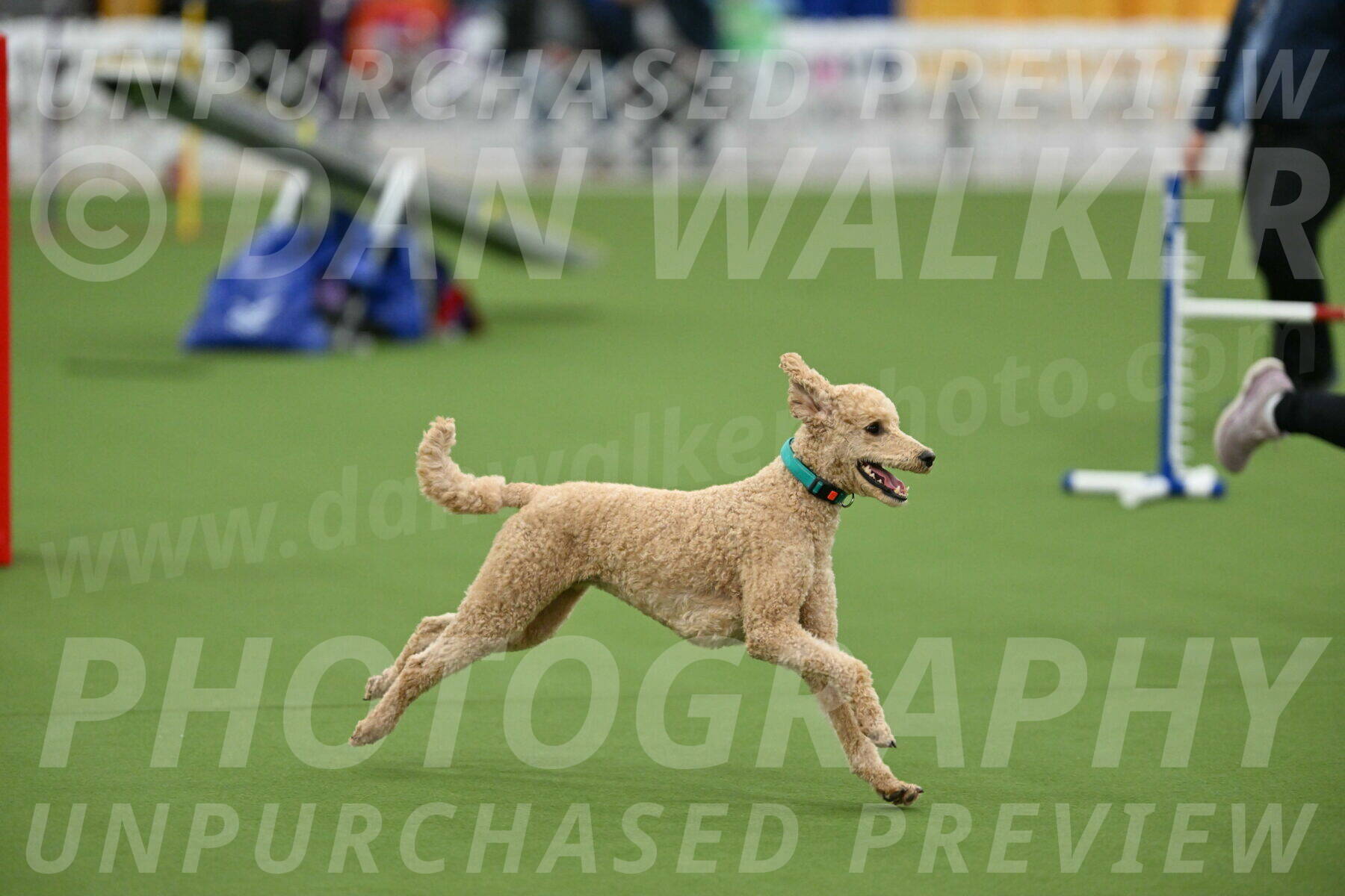 MAS-EX-STD-20-Inch_6810