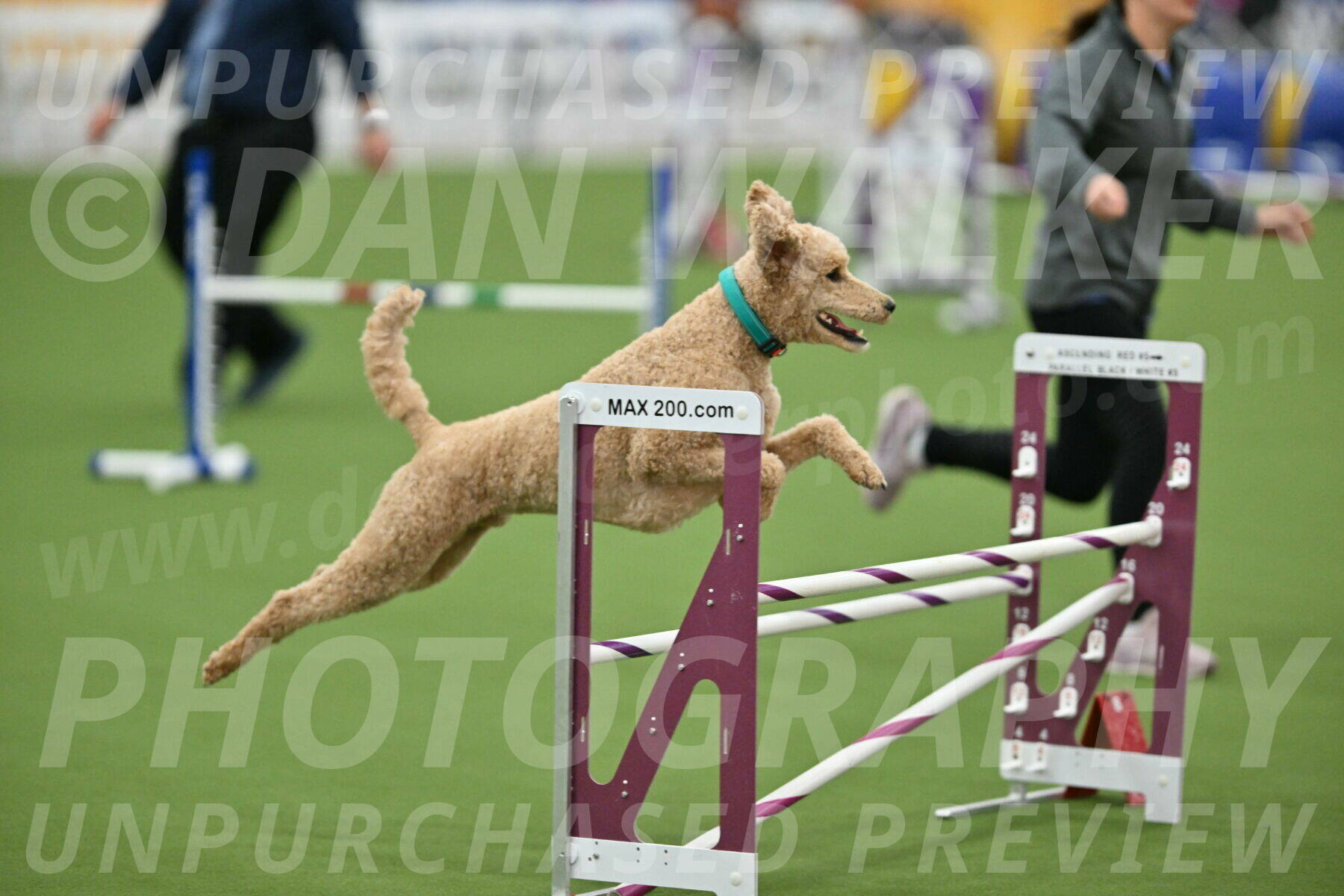 MAS-EX-STD-20-Inch_6816