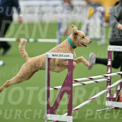 MAS-EX-STD-20-Inch_6816