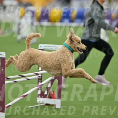 MAS-EX-STD-20-Inch_6819