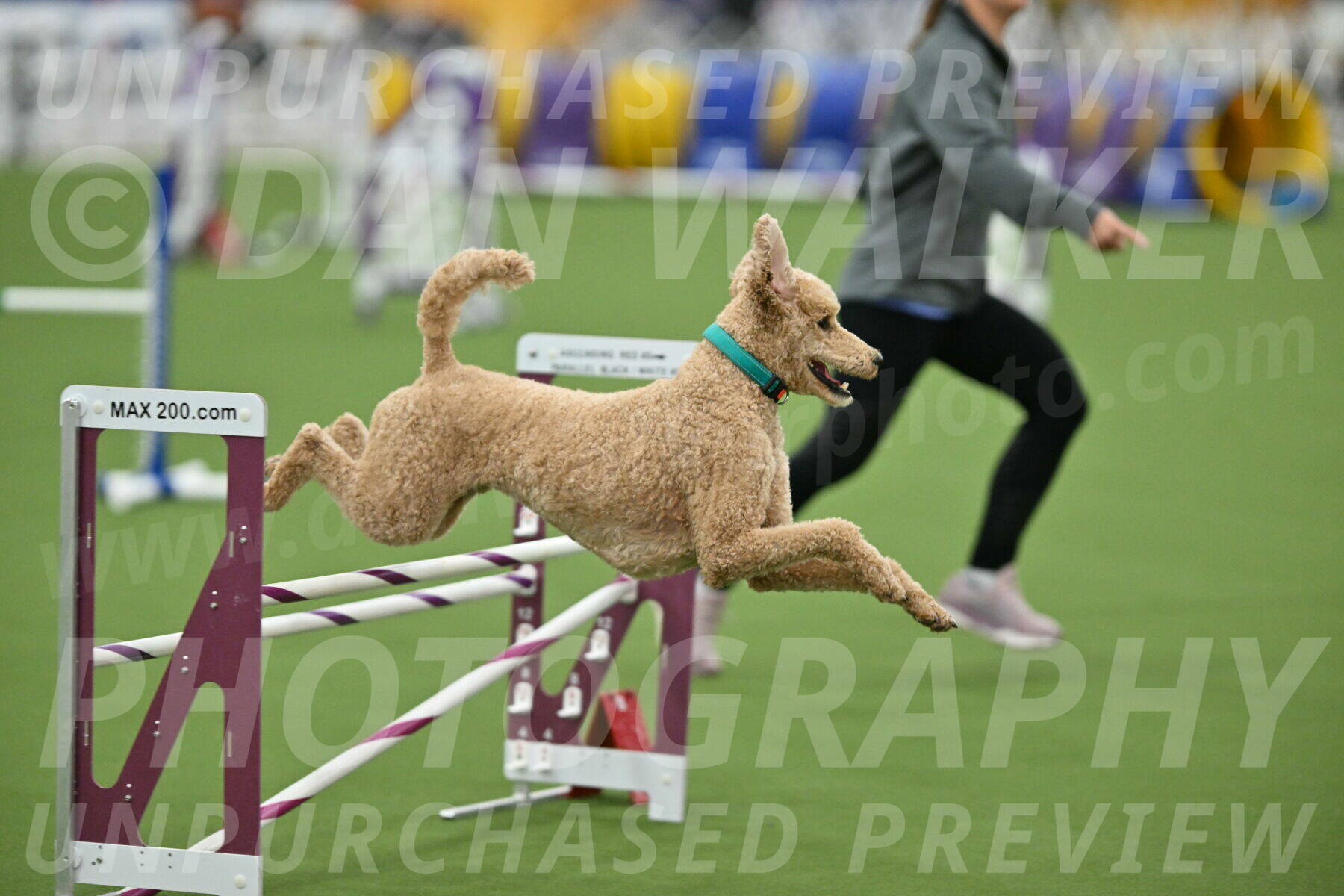 MAS-EX-STD-20-Inch_6819