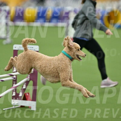 MAS-EX-STD-20-Inch_6820