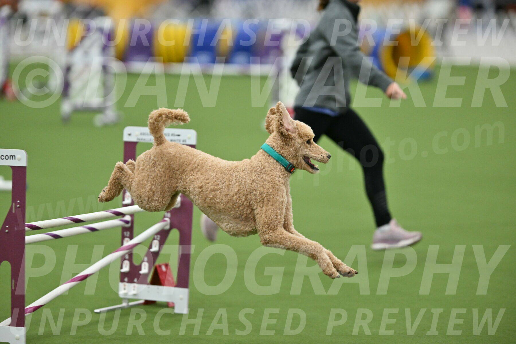 MAS-EX-STD-20-Inch_6820