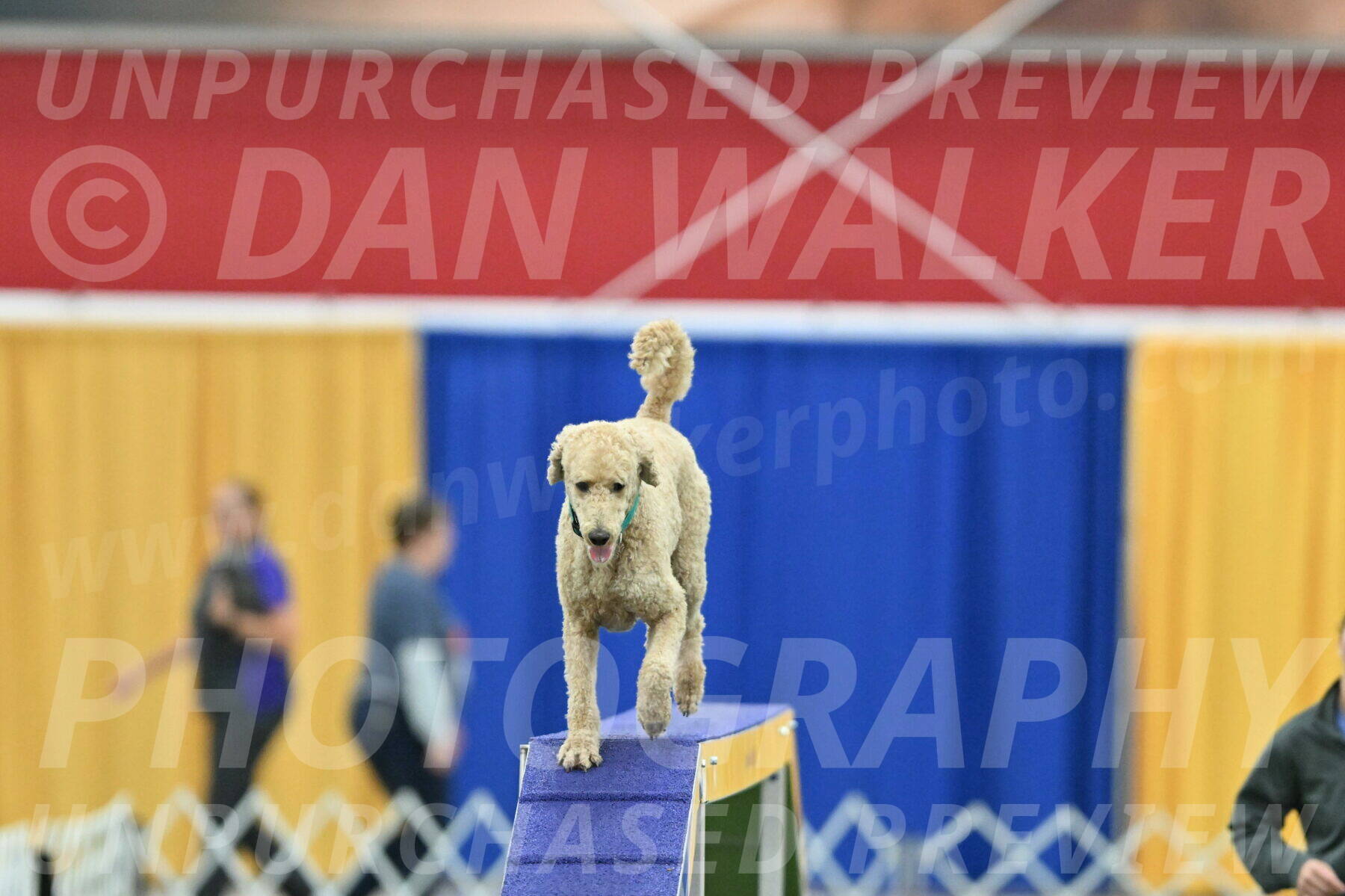 MAS-EX-STD-20-Inch_6821