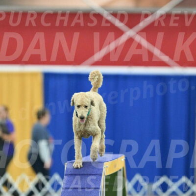 MAS-EX-STD-20-Inch_6821