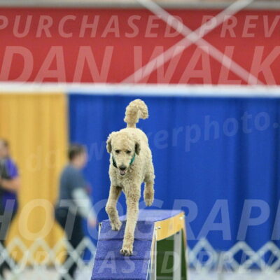 MAS-EX-STD-20-Inch_6823