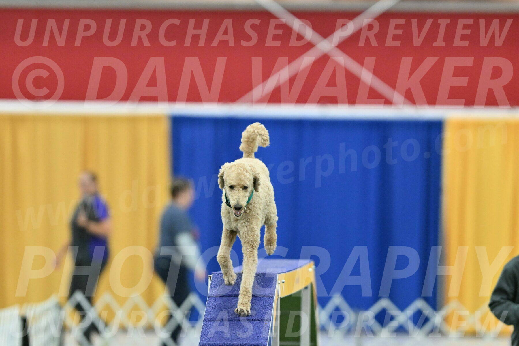 MAS-EX-STD-20-Inch_6823