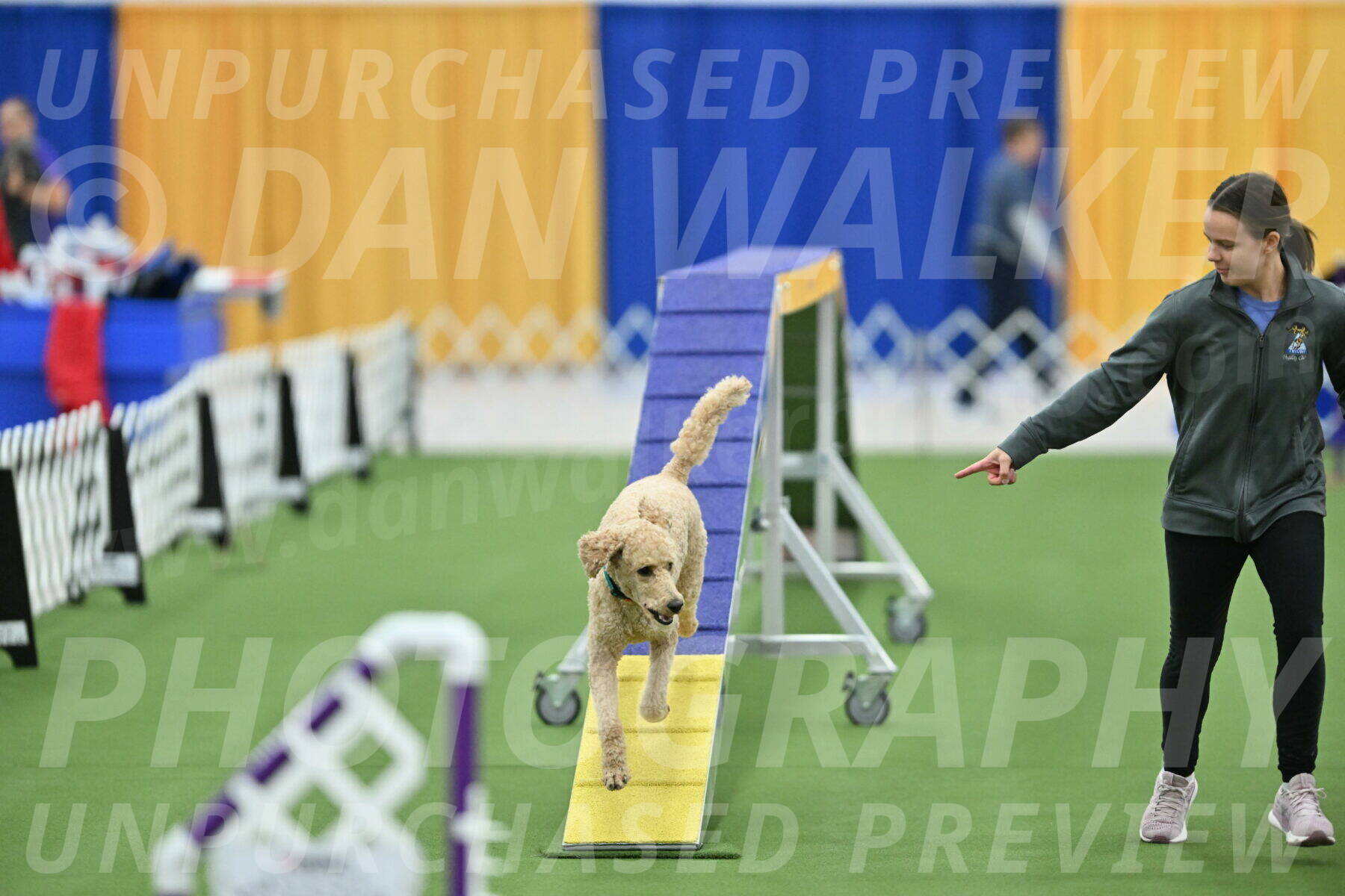 MAS-EX-STD-20-Inch_6831