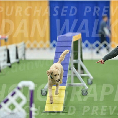 MAS-EX-STD-20-Inch_6831