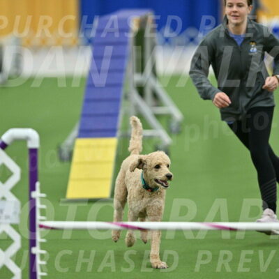 MAS-EX-STD-20-Inch_6834