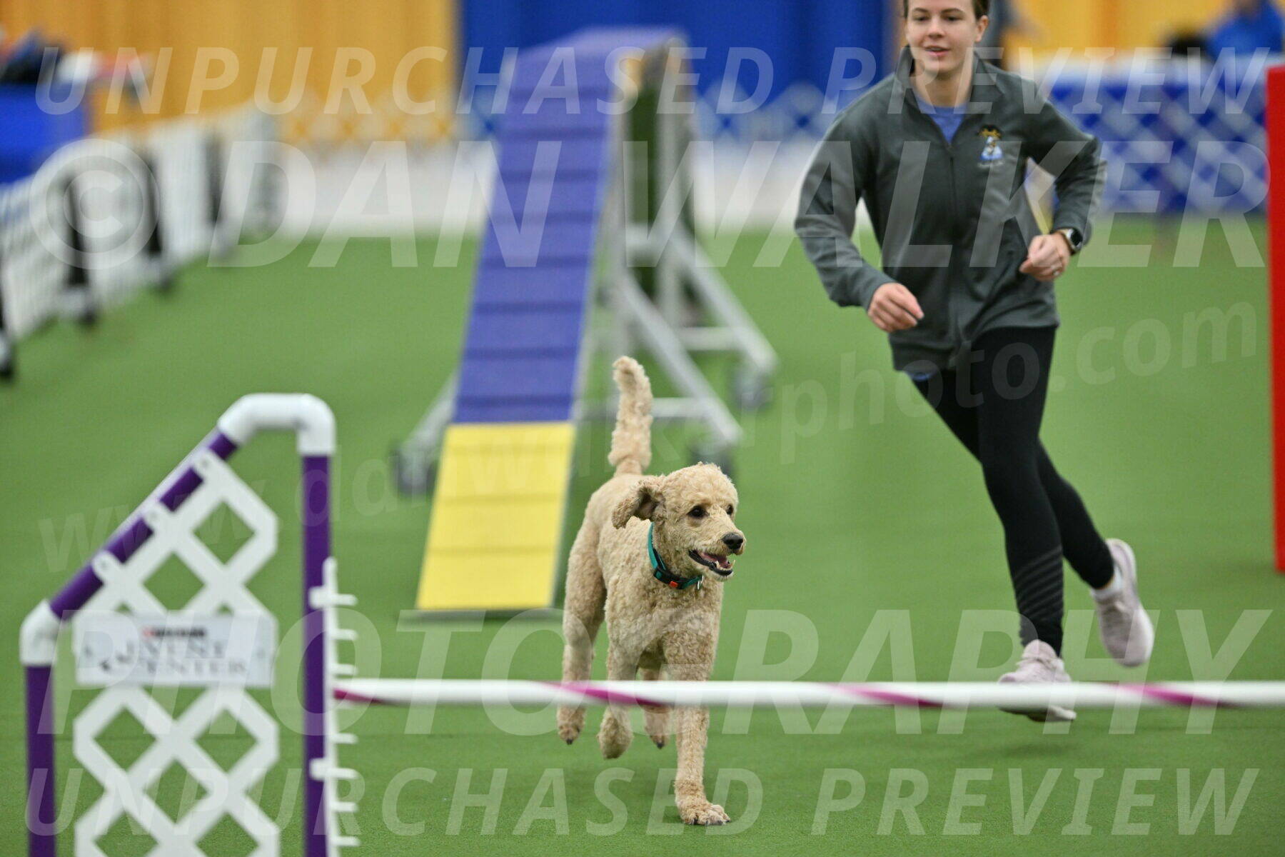 MAS-EX-STD-20-Inch_6834