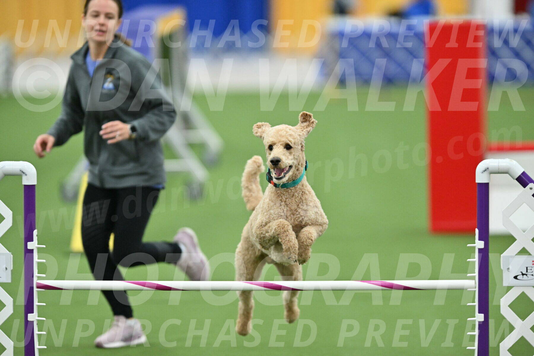 MAS-EX-STD-20-Inch_6842