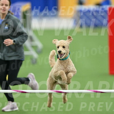 MAS-EX-STD-20-Inch_6842