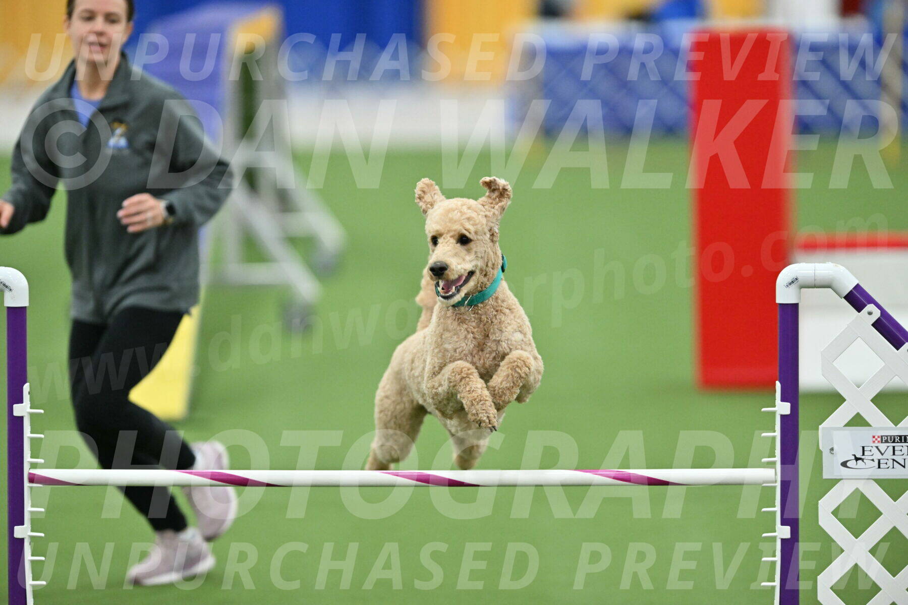 MAS-EX-STD-20-Inch_6843