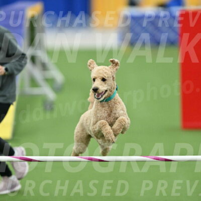 MAS-EX-STD-20-Inch_6843