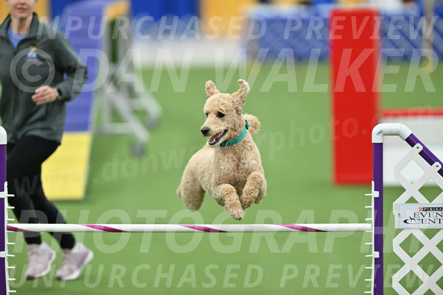 MAS-EX-STD-20-Inch_6844