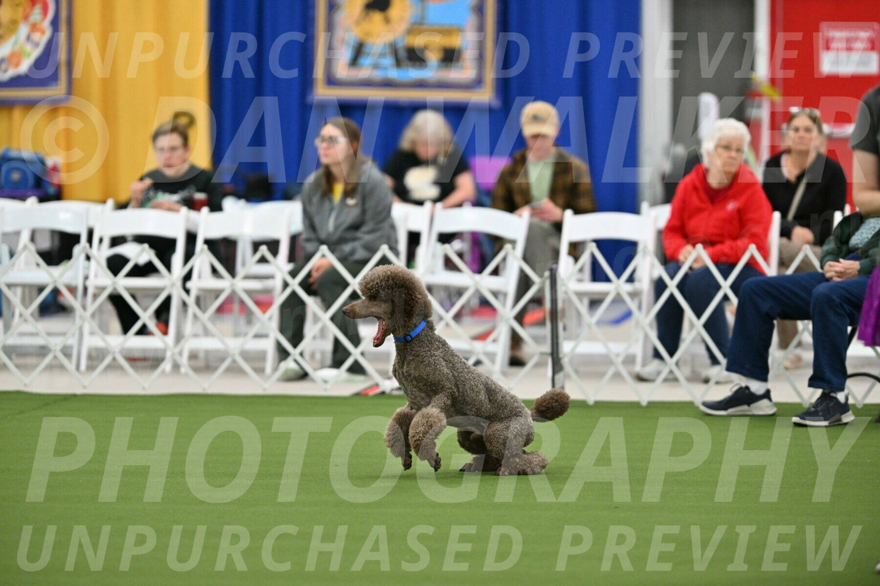 MAS-EX-STD-20-Inch_6845