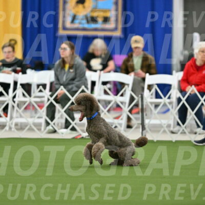 MAS-EX-STD-20-Inch_6845