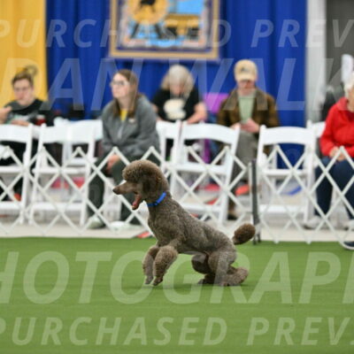 MAS-EX-STD-20-Inch_6846