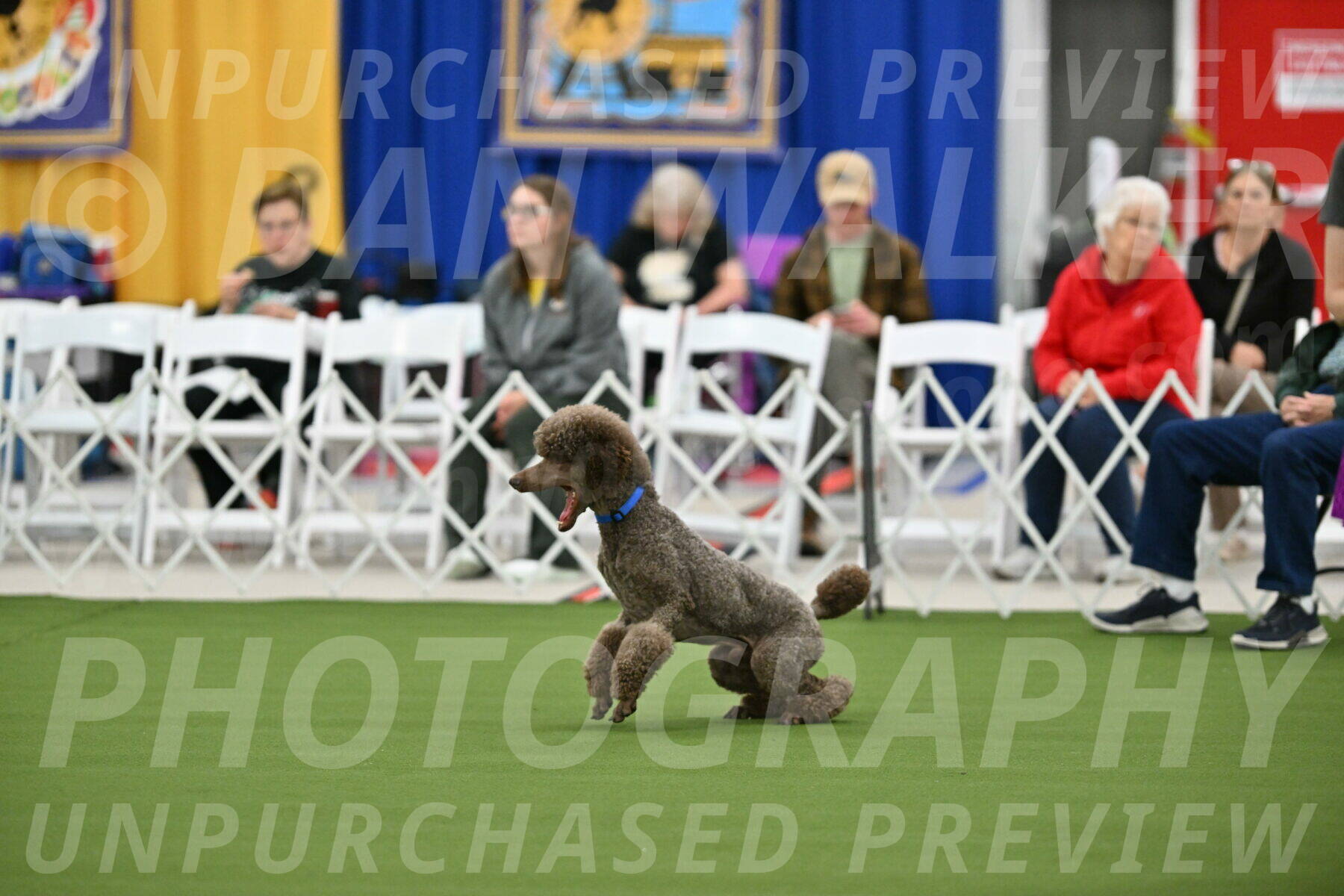 MAS-EX-STD-20-Inch_6846