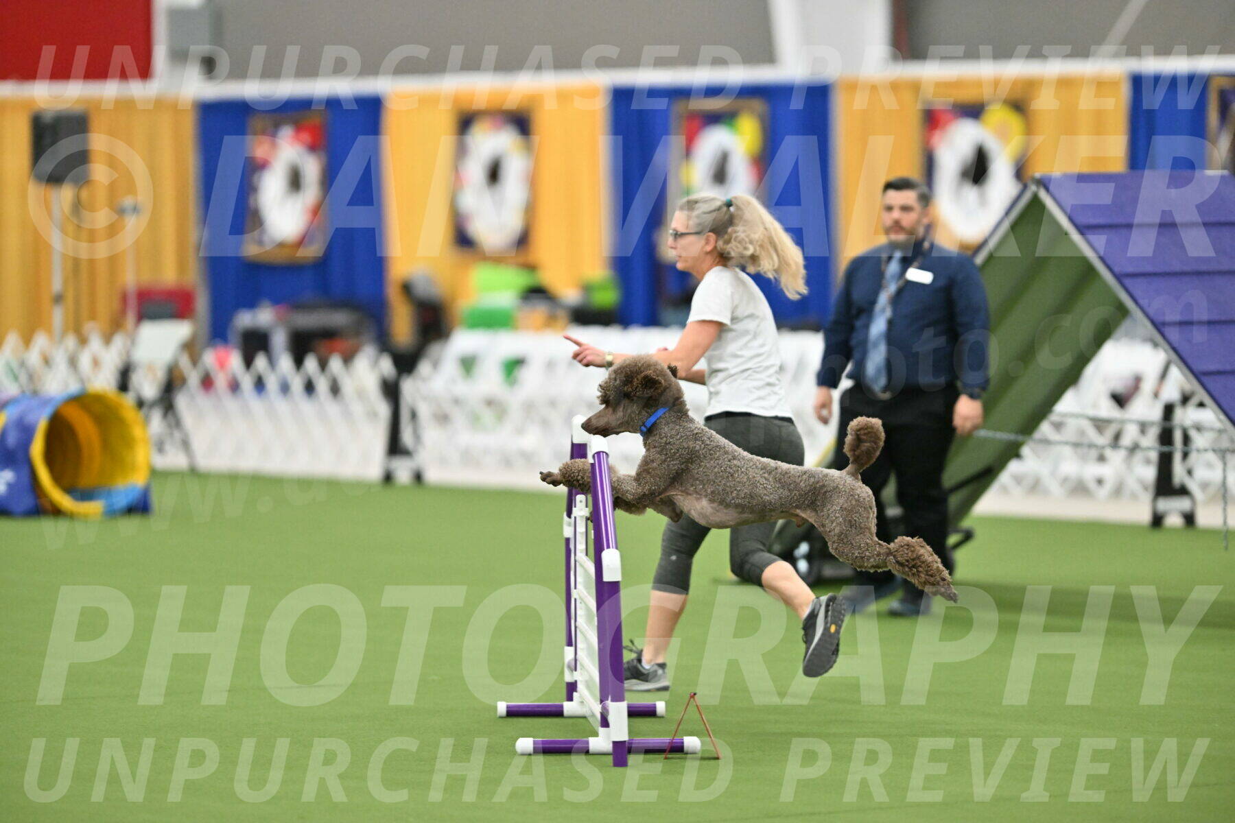 MAS-EX-STD-20-Inch_6852