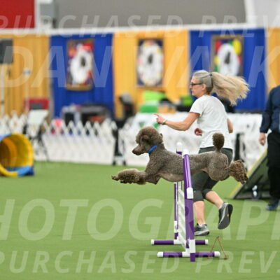 MAS-EX-STD-20-Inch_6854