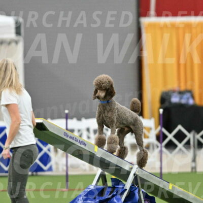 MAS-EX-STD-20-Inch_6861