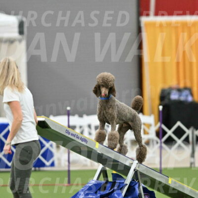 MAS-EX-STD-20-Inch_6863