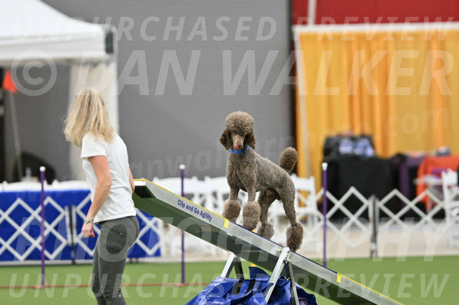 MAS-EX-STD-20-Inch_6863