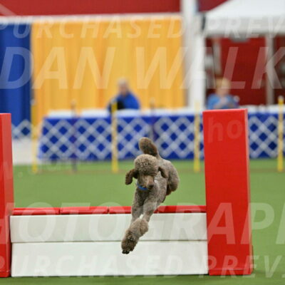 MAS-EX-STD-20-Inch_6869