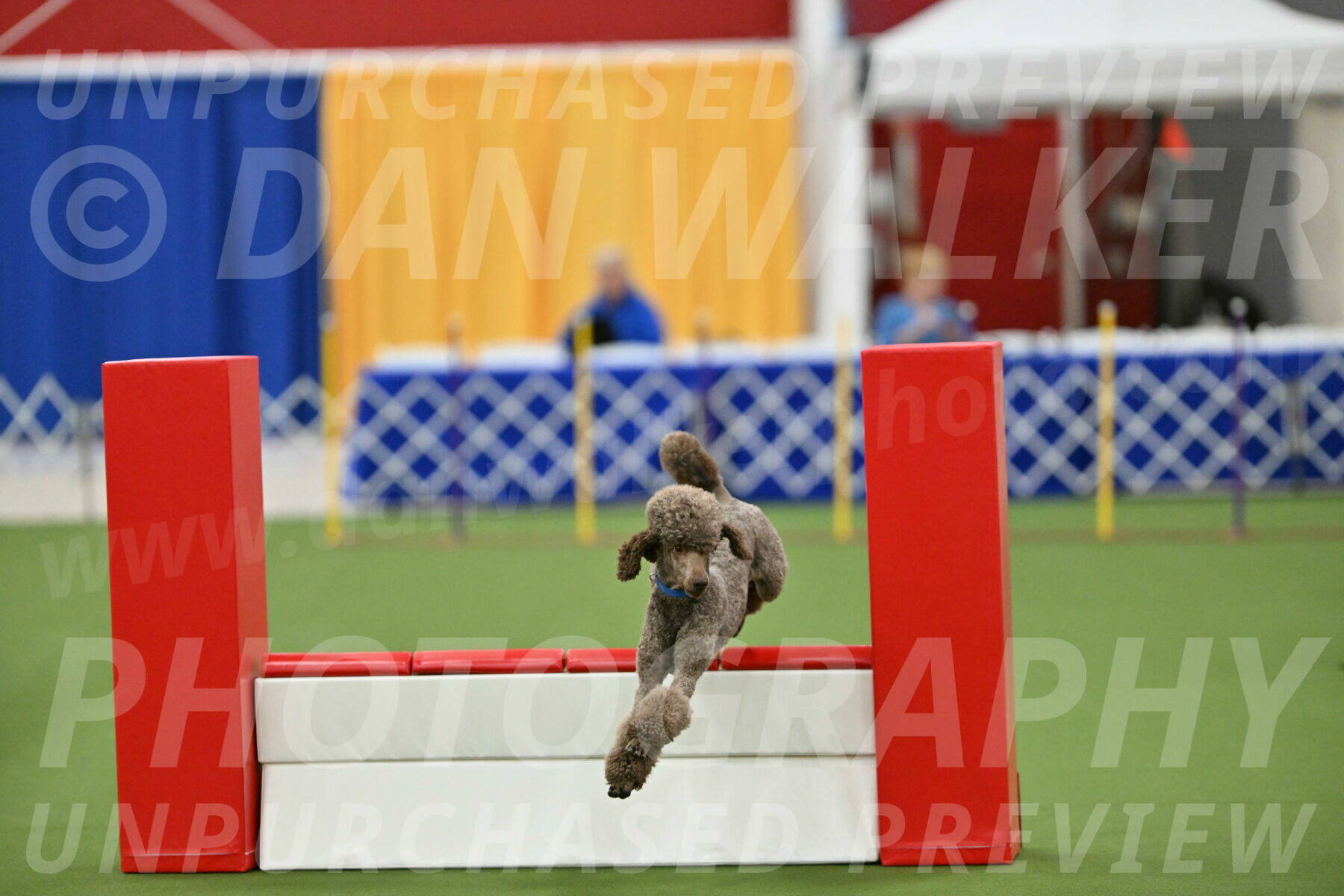 MAS-EX-STD-20-Inch_6869