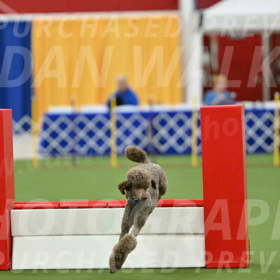 MAS-EX-STD-20-Inch_6870