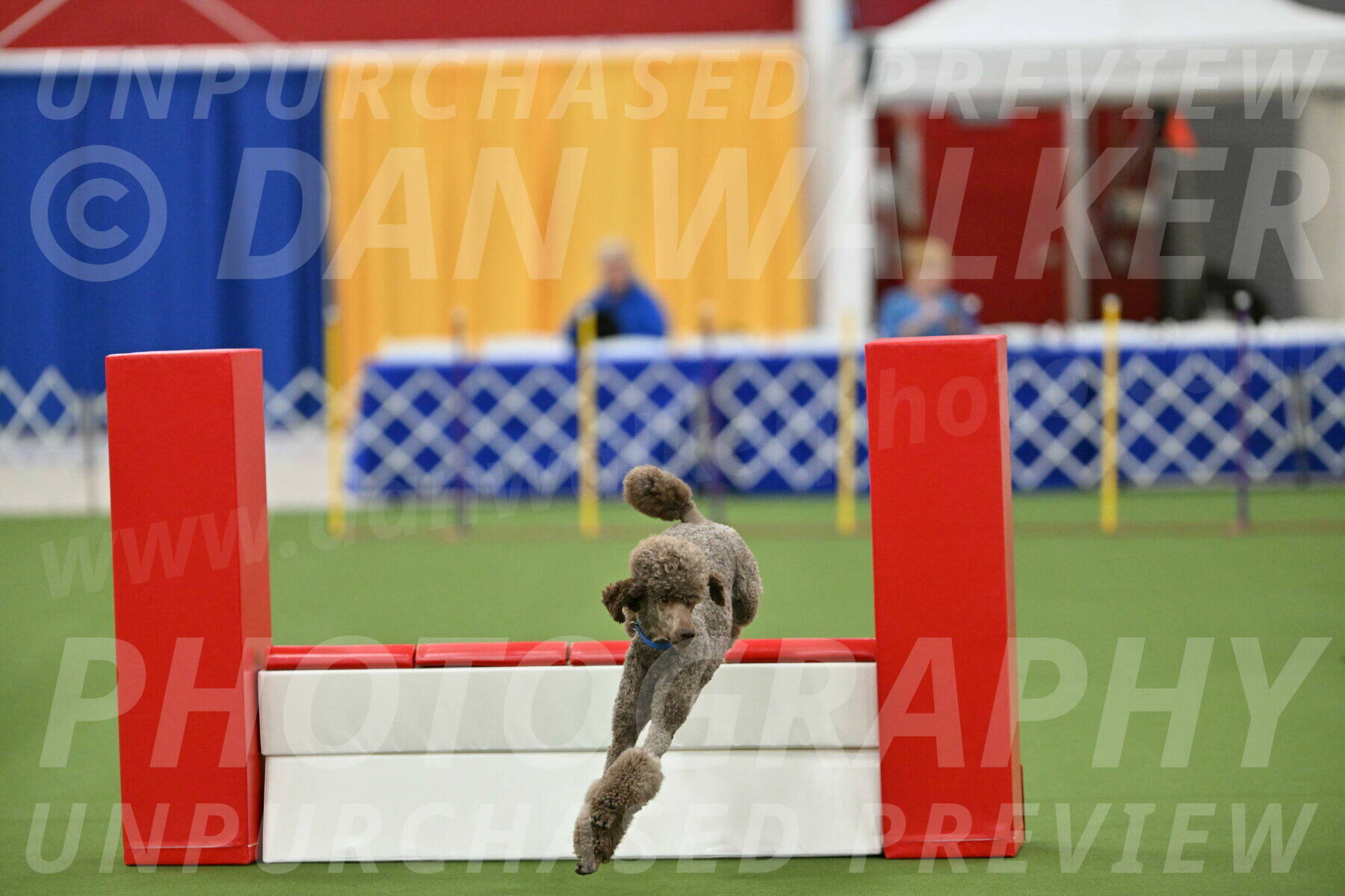 MAS-EX-STD-20-Inch_6870