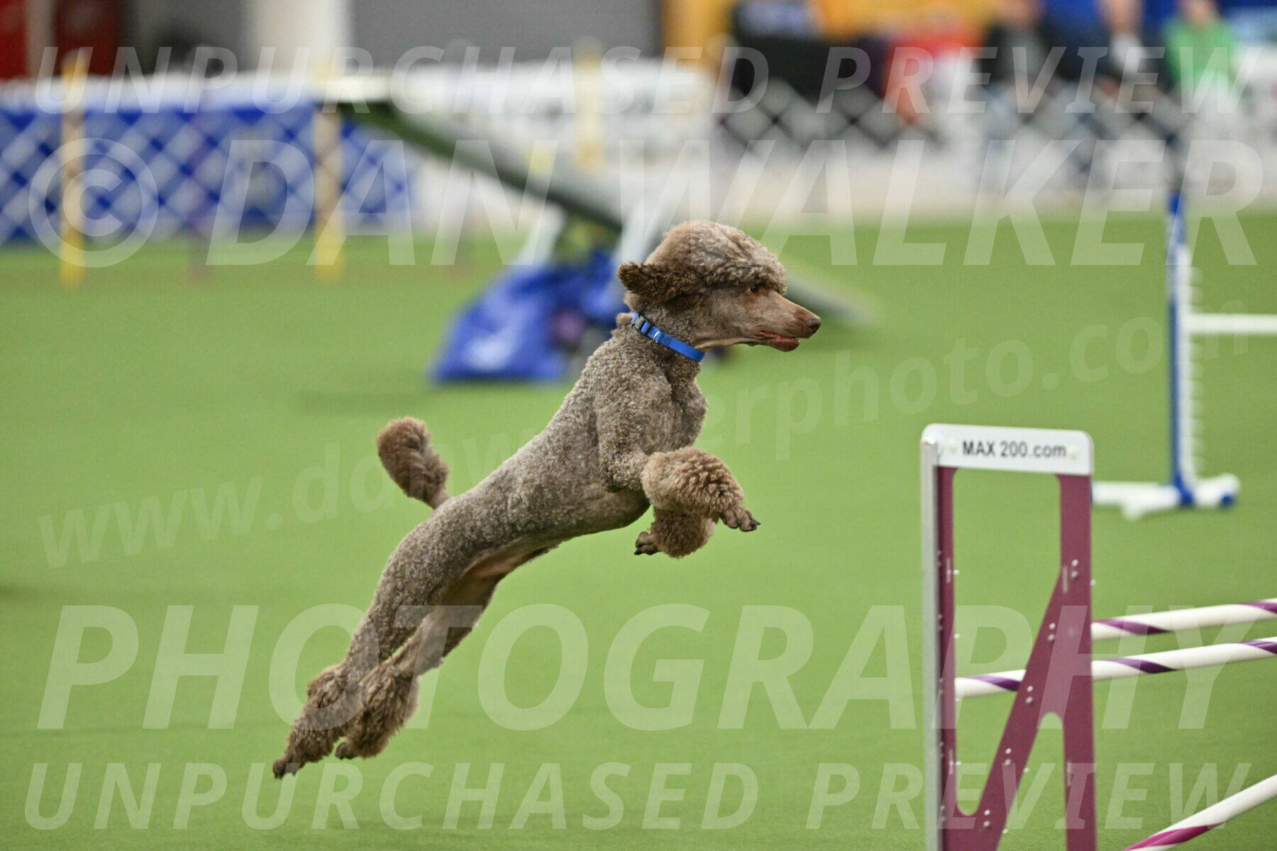 MAS-EX-STD-20-Inch_6873