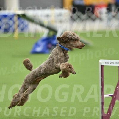 MAS-EX-STD-20-Inch_6873