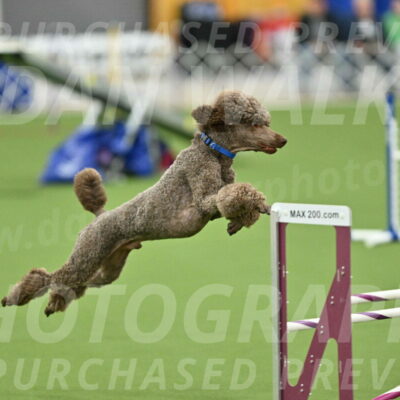 MAS-EX-STD-20-Inch_6874