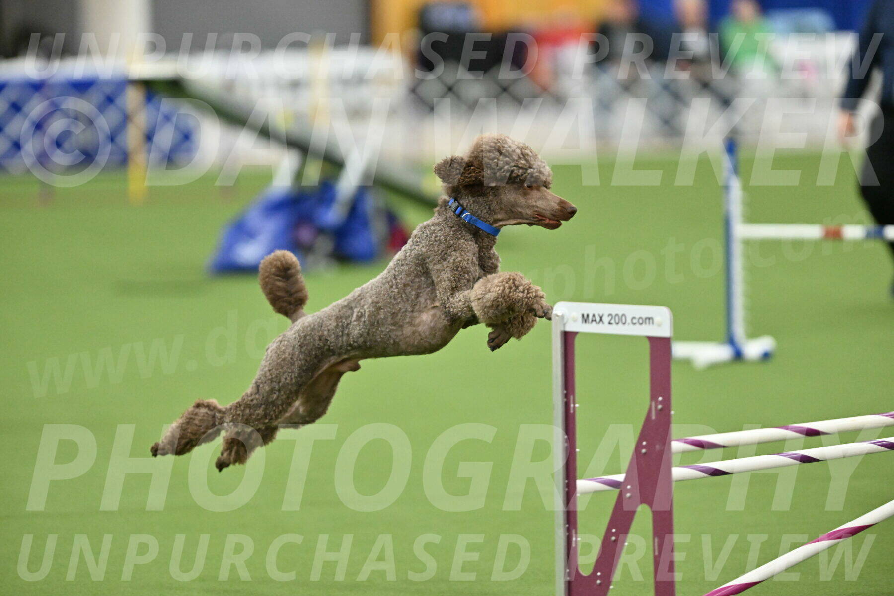 MAS-EX-STD-20-Inch_6874