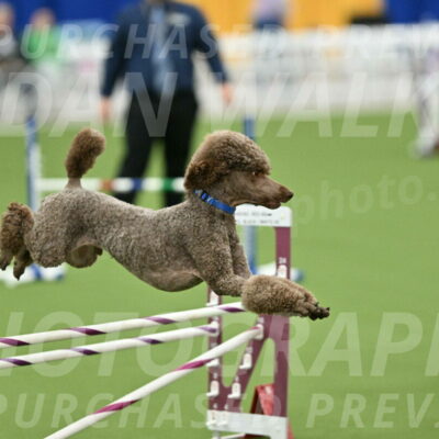 MAS-EX-STD-20-Inch_6879