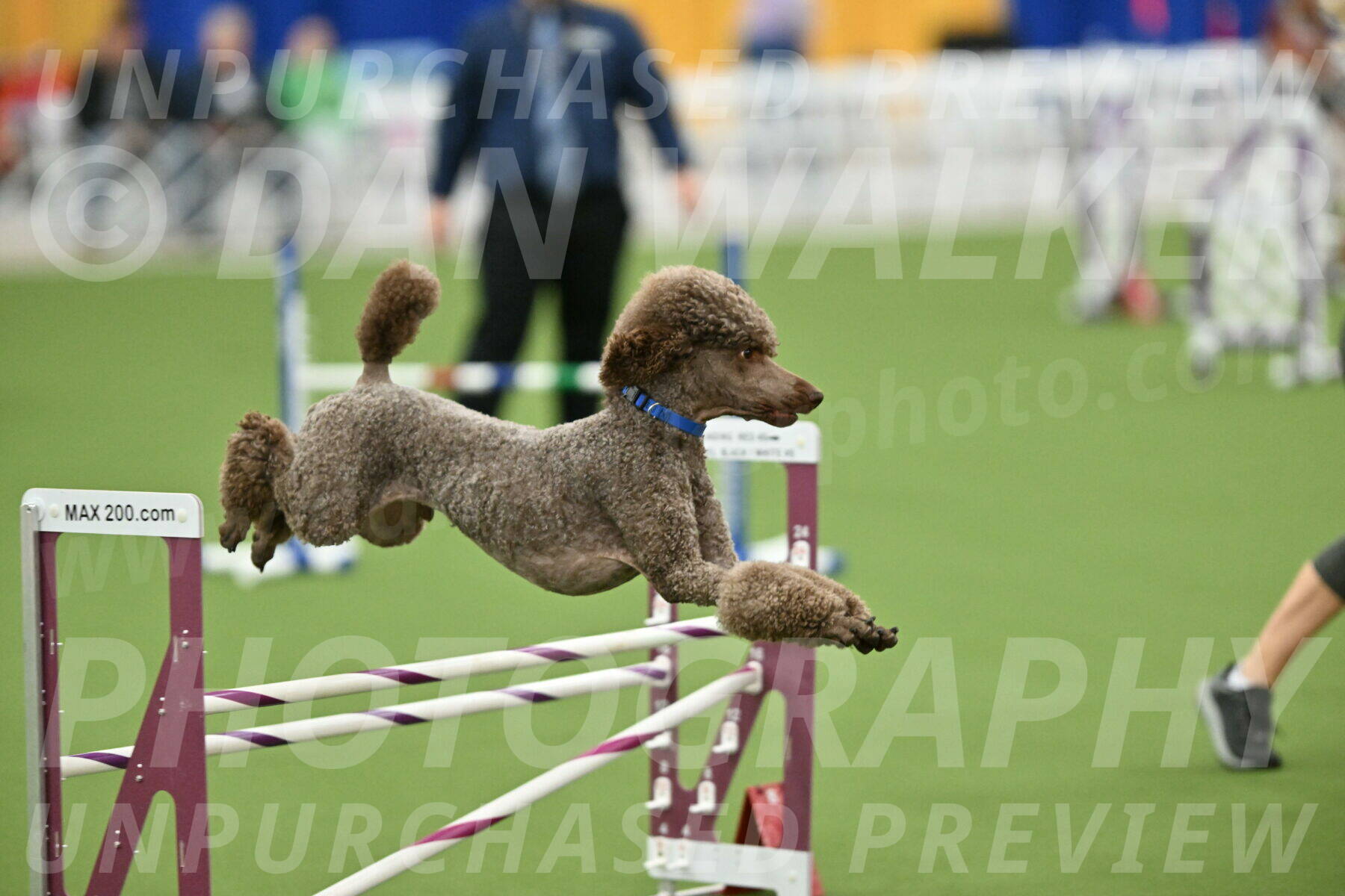 MAS-EX-STD-20-Inch_6879