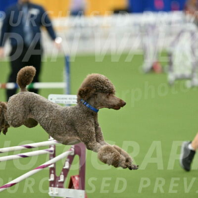 MAS-EX-STD-20-Inch_6880