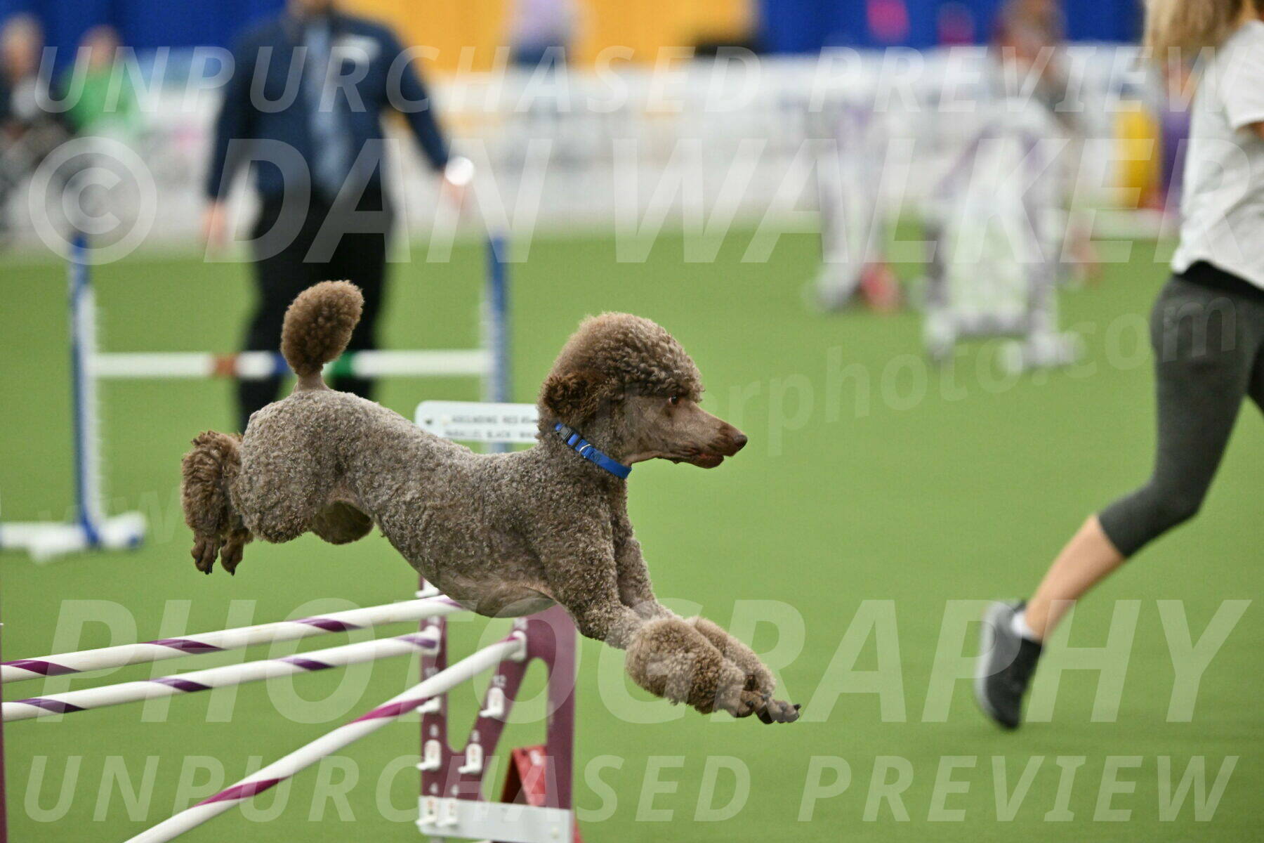 MAS-EX-STD-20-Inch_6880