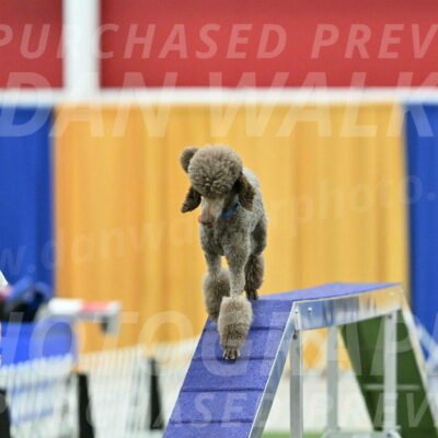 MAS-EX-STD-20-Inch_6886