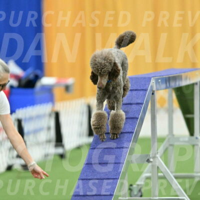 MAS-EX-STD-20-Inch_6895